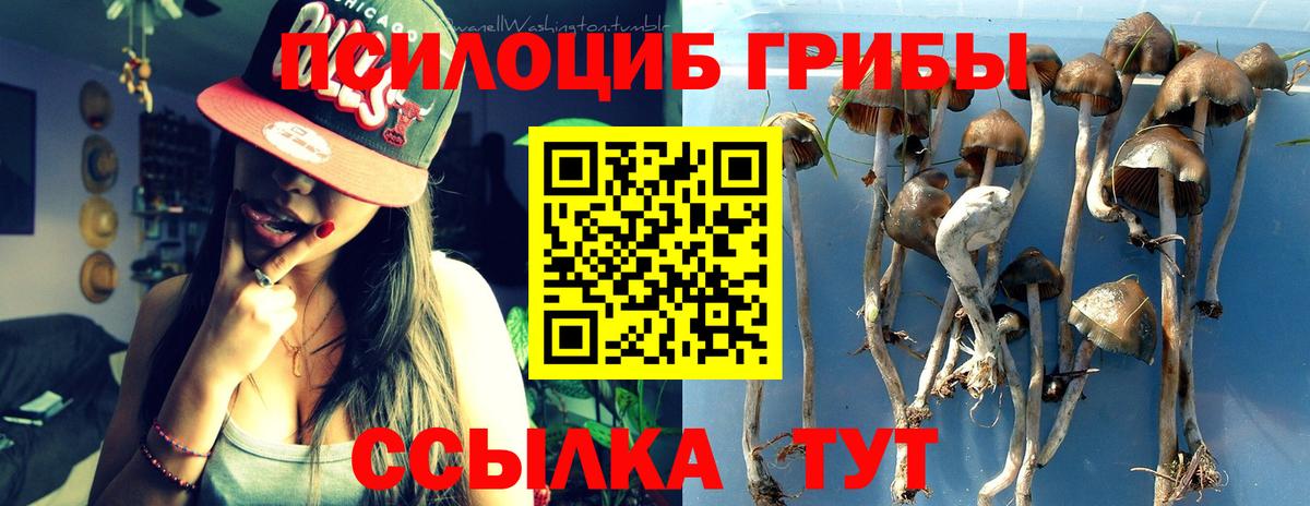 Псилоцибиновые грибы Magic Shrooms Звенигород