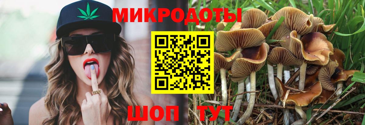 Звенигород  Галлюциногенные грибы Magic Shrooms  Вход с VPN  Псилоцибиновые грибы прущие грибы 